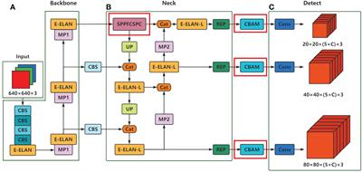 Underwater object detection algorithm based on attention mechanism and cross-stage partial fast spatial pyramidal pooling